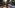 Avowed Accolades Trailer Highlights Critical Acclaim