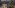 Larian CEO Says It’s “Been An Incredible Journey So Far,” Teases Future News