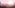 Light No Fire – What We Know So Far