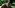 Like a Dragon: Pirate Yakuza in Hawaii Review – Sea of Thieves