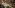 Overwatch 2 and Marvel Rivals Can Co-Exist in the Gaming Market – NetEase