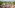Planet Coaster 2 Review – All Down Hill