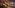 Sleeping Dogs Film is in the Works, Starring Simu Liu as Wei Shen – Rumor