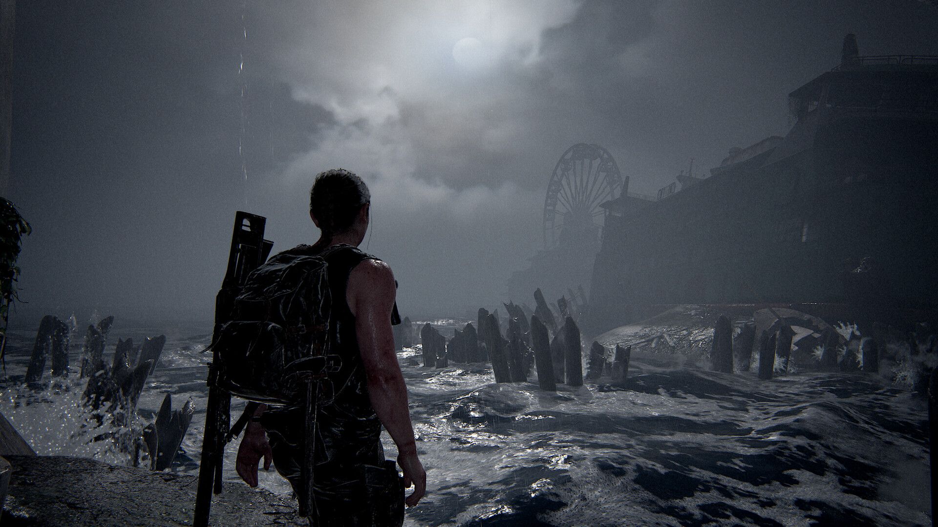 the last of us part 2 2